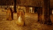 image01